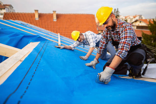 Best Storm Damage Roof Repair  in Spanish Fort, AL